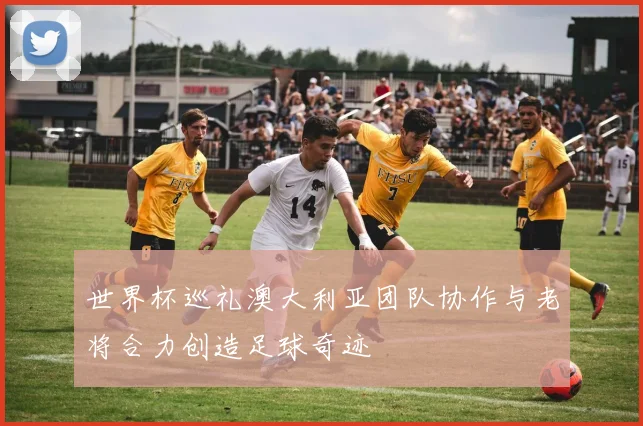 世界杯巡礼澳大利亚团队协作与老将合力创造足球奇迹