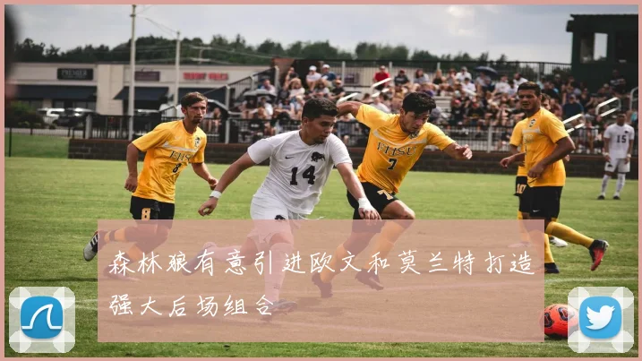 森林狼有意引进欧文和莫兰特打造强大后场组合